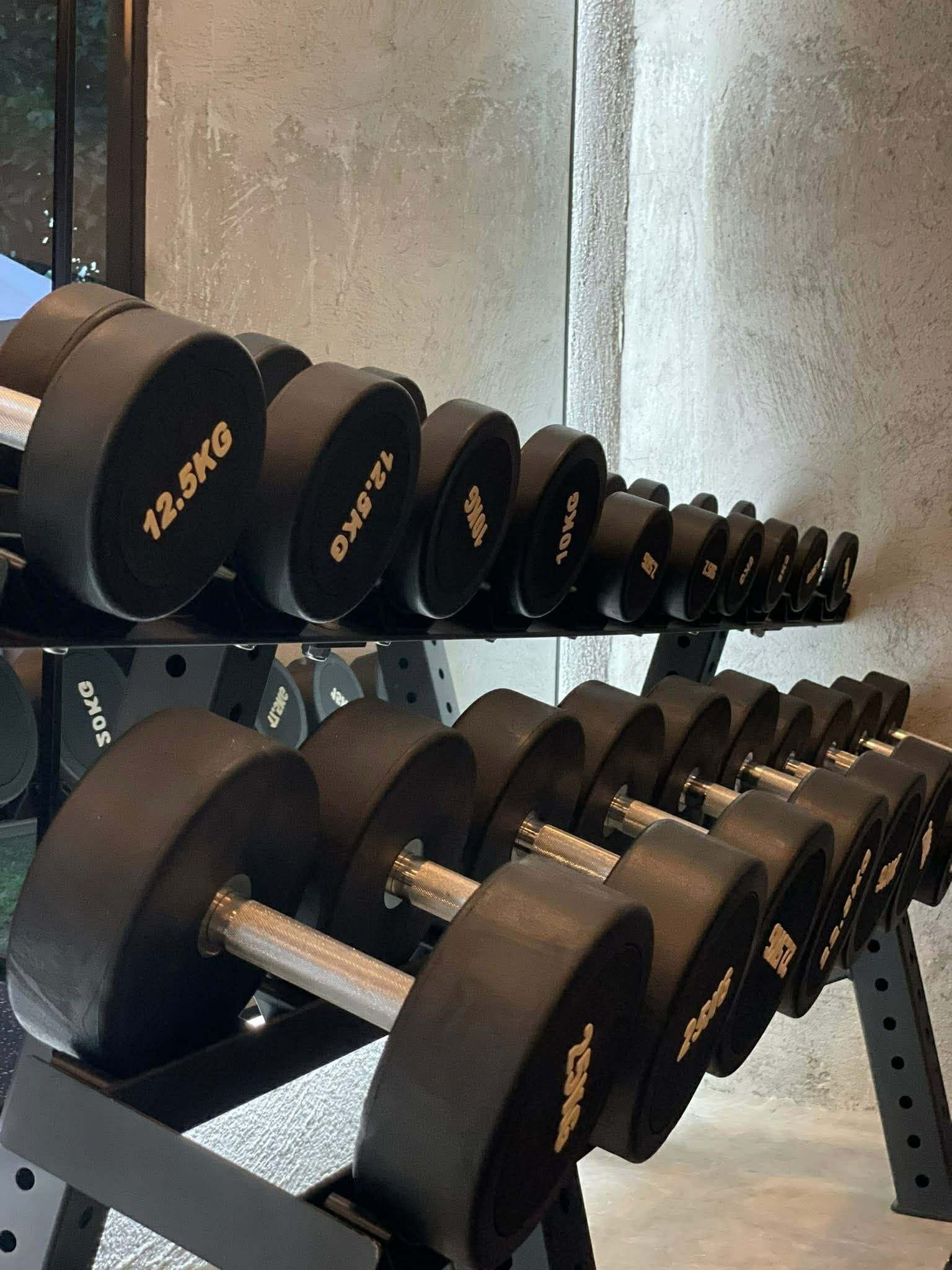Close-up of black and gold dumbbells